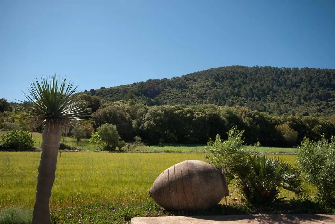 Hort Den Gelos Campanet Mallorca Crestatx Spanyolország